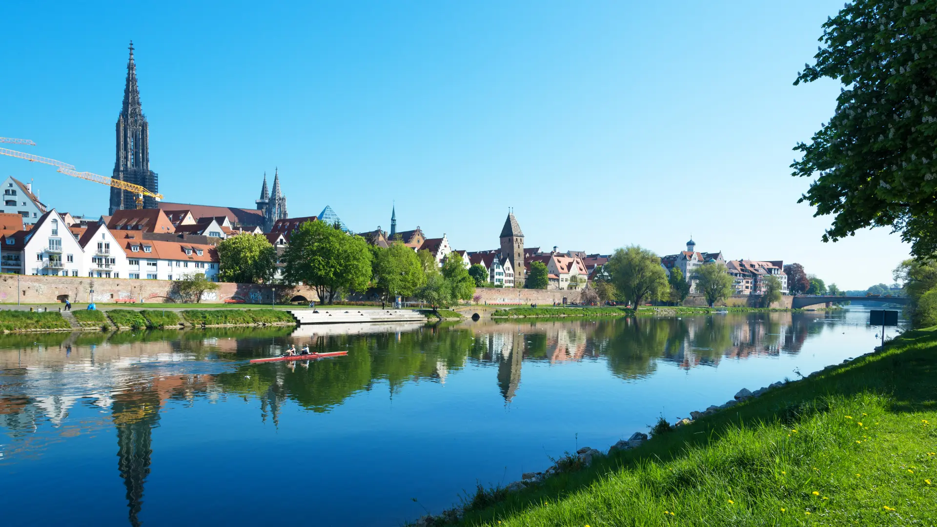 Ulm