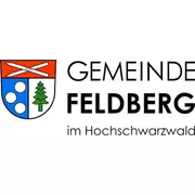 Logo für den Job Freiwilliges Soziales Jahr (FSJ)