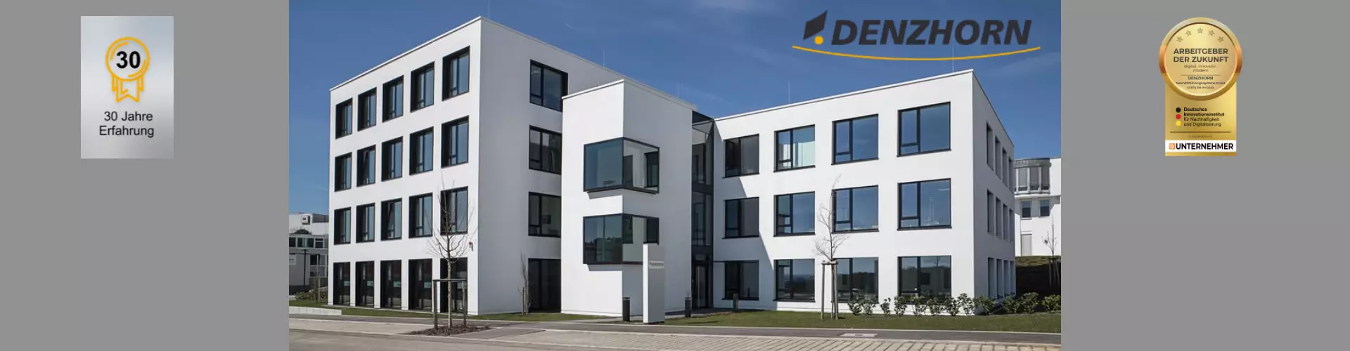 Denzhorn Geschäftsführungs-Systeme GmbH cover