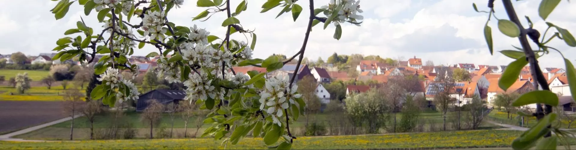 Stadt Blaubeuren cover